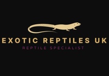 Uk exotic reptiles 