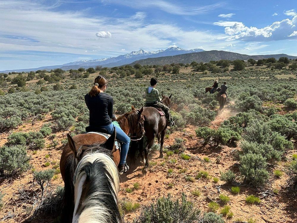Mountain Joe's Trail Rides