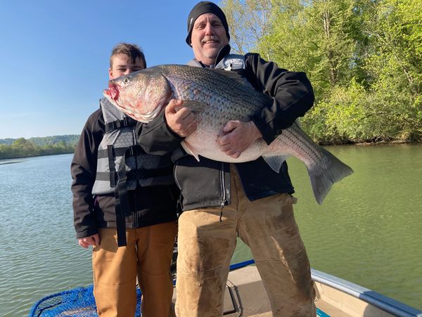 Jim and Daniel Washington with their monster Cumberland River striper caught in April 2010.