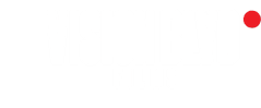 VISION BLVD FILMS