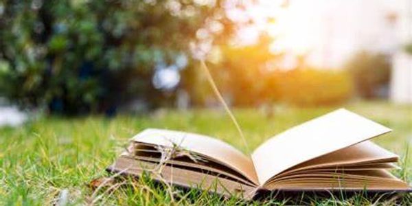 A book laying on the grass with pages open and the sun peaking behind it. 