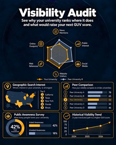 Visibility Audit