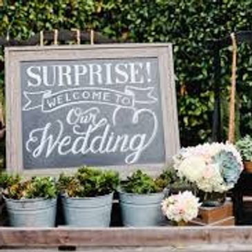 A rustic wedding welcome sign with potted plants and flowers.