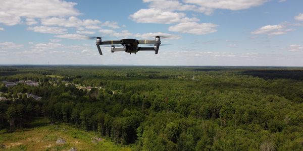 Drone Mavic over a forest