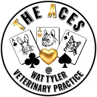 Triple Aces Veterinary Practice 