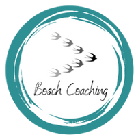 Bosch Coaching