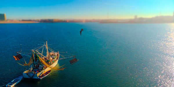 barco pesquedo en puerto peñasco sonora tomada con drone dji ideal para publicidad
