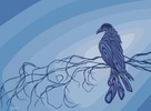 Ravenwood Environmental