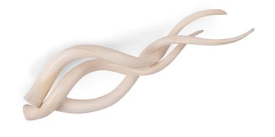 Kudu horn inner from Shofar factory