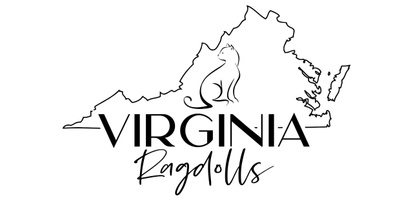 Virginia Ragdolls