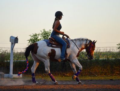 Western riding