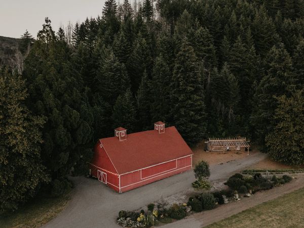 A red barn surrounded by dense pine trees.