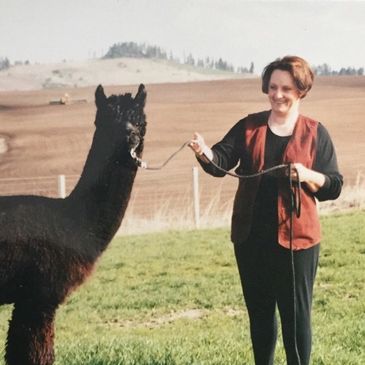 alpaca farm visit