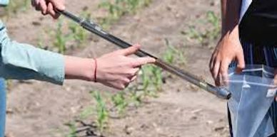Soil samples being taken by hand for nutrient testing