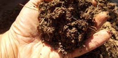 Visual assessment of soil by hand