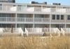 Ocean Colony townhouse