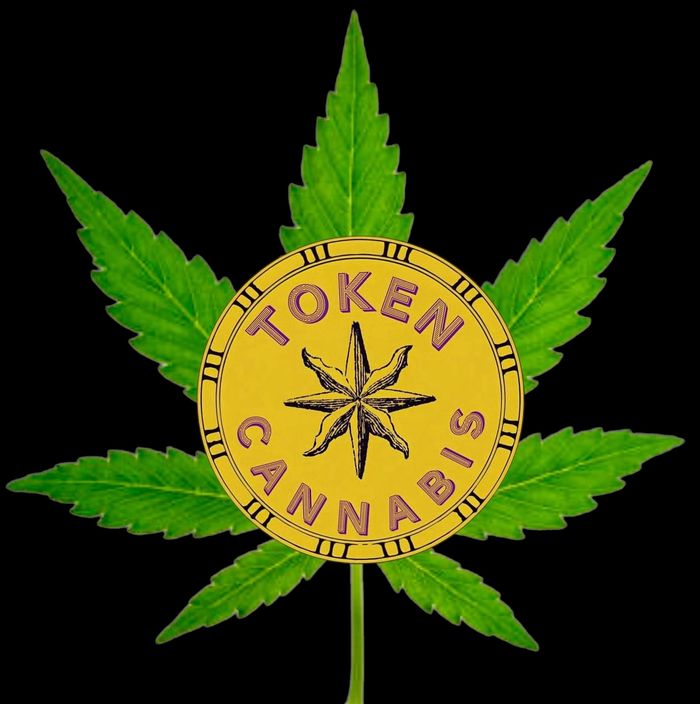 Medical Cannabis. 