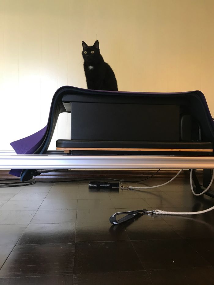 A male black cat is sitting on top of the carriage of a black reformer carriage.