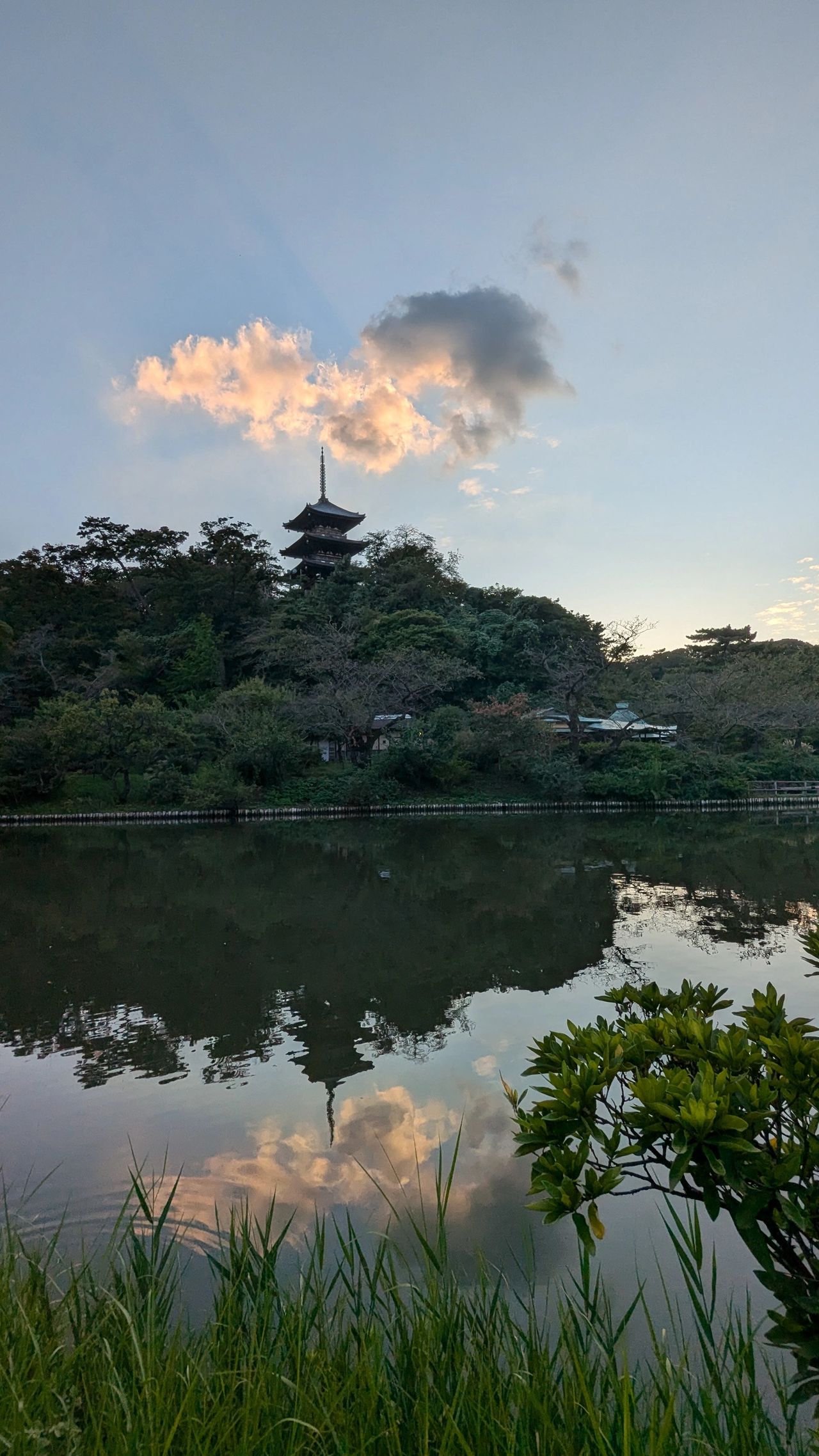 Gracias Japón bonito