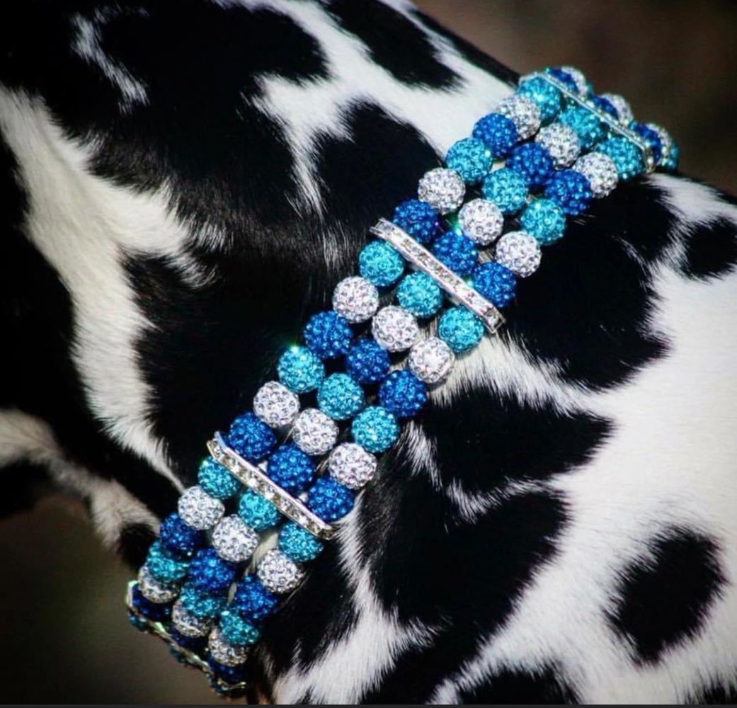 Bling bling dog collars discount