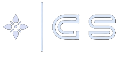CS Services Group