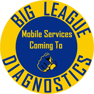 Big League Diagnostics LLC