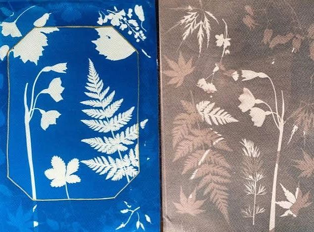 Blue and brown botanical prints with outlined plant designs.