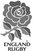 Red rose emblem with green leaves, symbol of England Rugby.