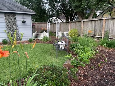 A black and white cat sitting on a metal garden chair in a lush backyard.