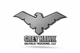 Grey Hawk