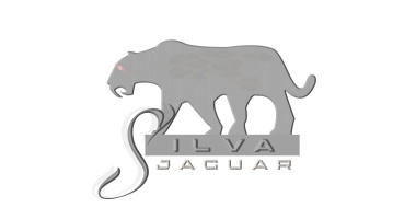 Silva Jaguar LLC