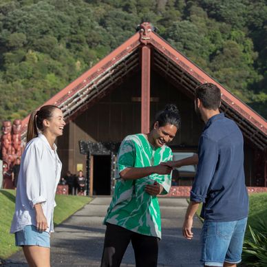 Maori experience in New Zealand