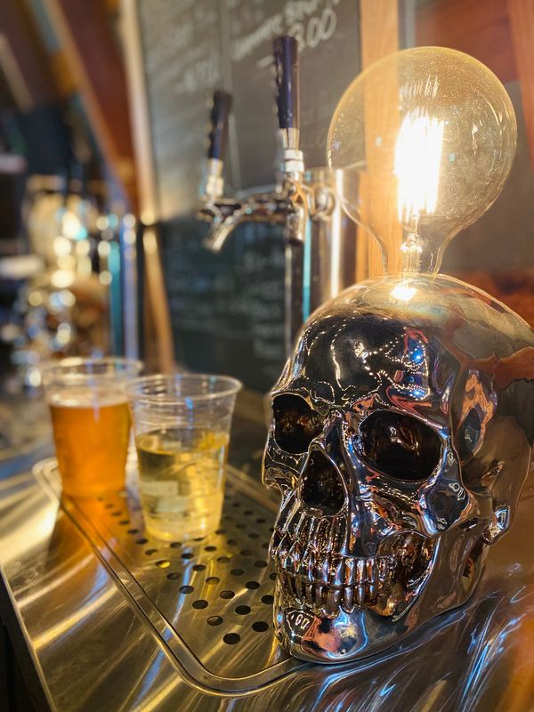 close picture of a skull