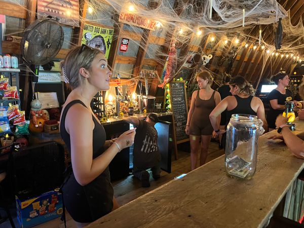 People inside a dimly lit bar decorated with cobwebs and Halloween items.
