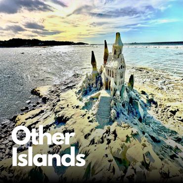 Scotty Dodson build an amazing sandcastle in Tamarindo Costa Rica