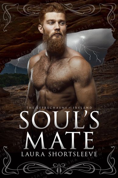 Soul’s Mate book cover