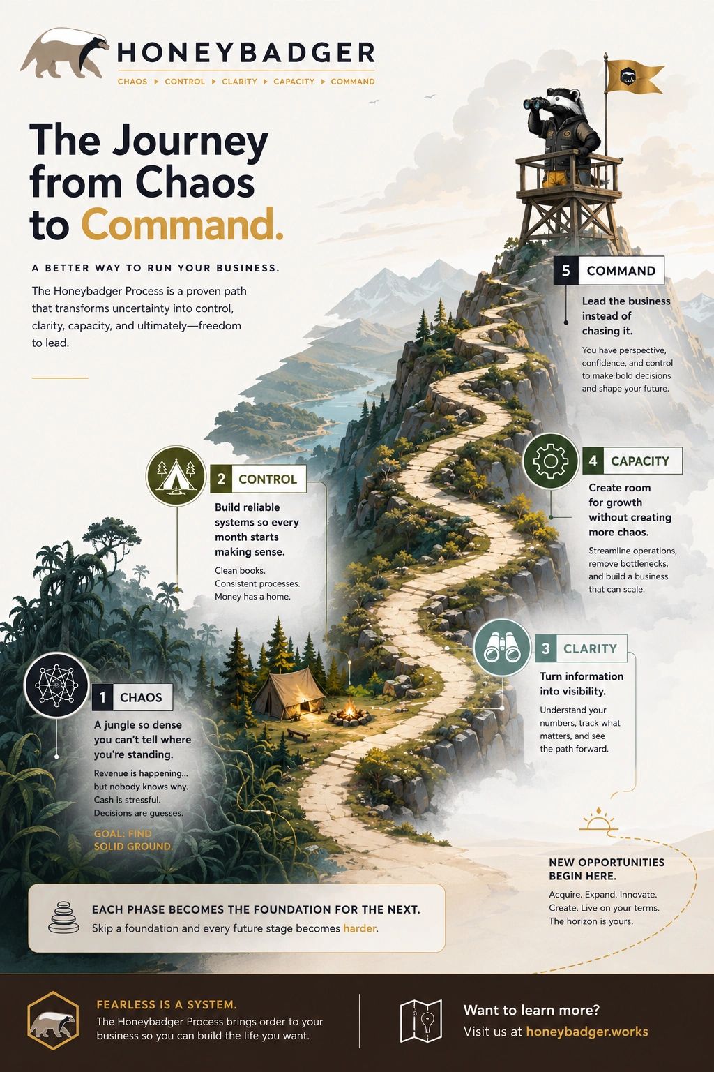Visual guide showing the Honeybadger Process from chaos to command in business.