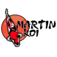 Martin koi 