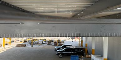 Jacksonville Bird Spike Installation 