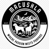 Macushla Labradors
