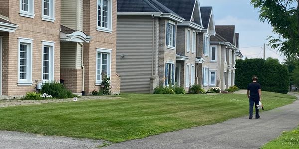 Tonte de pelouse à mascouche