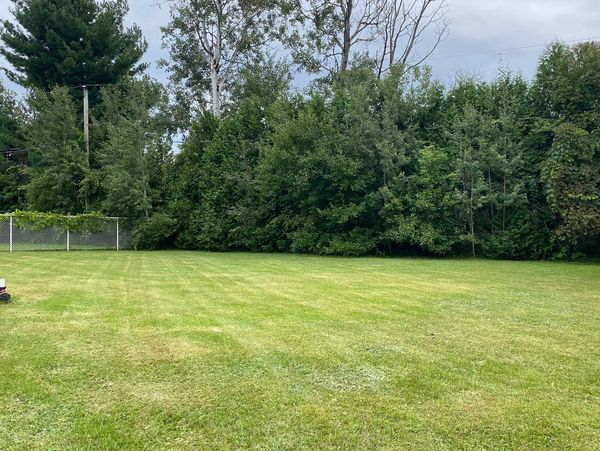 Entretien de pelouse