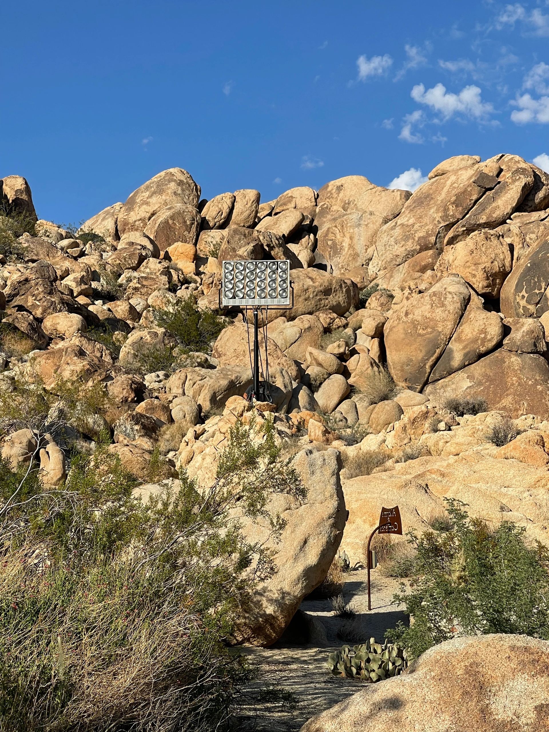 Joshua Tree 