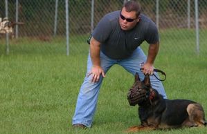 Apprehension K9