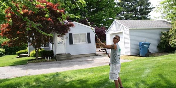 Man using a pole saw to trim tree branches in a backyard.