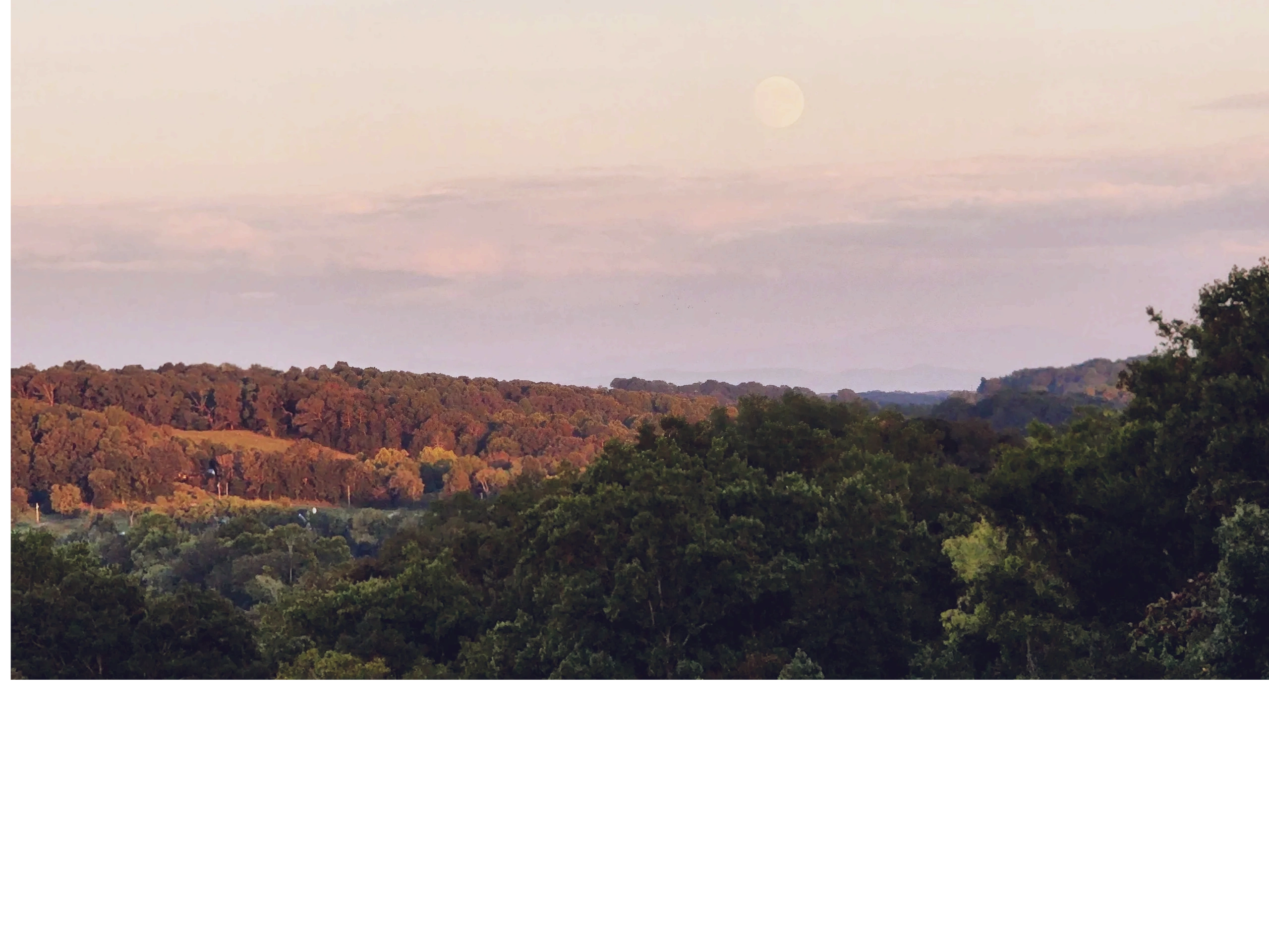 smokey mountains viewed from Bellissima Foresta Ranch