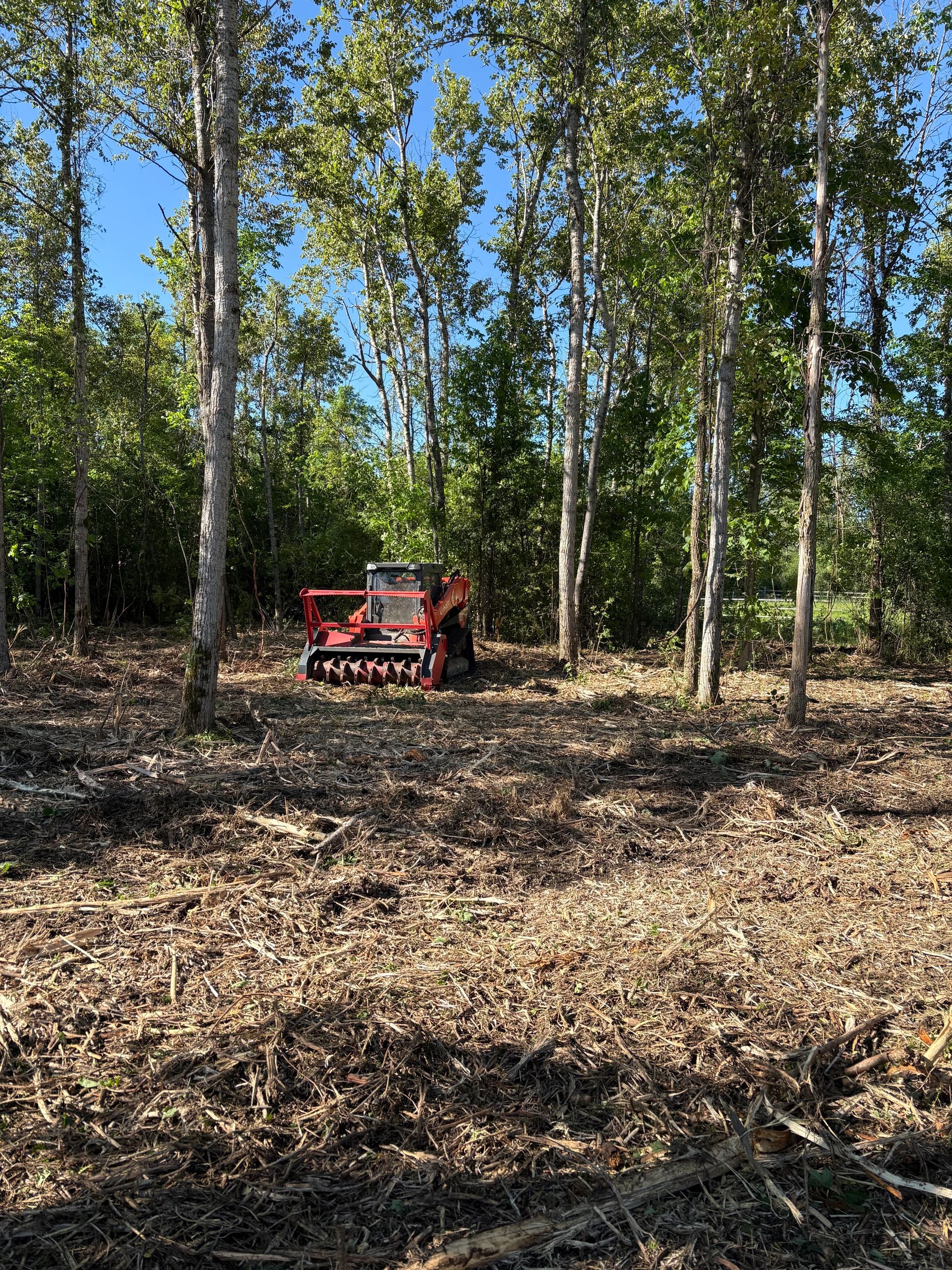 Forestry mulching and land clearing