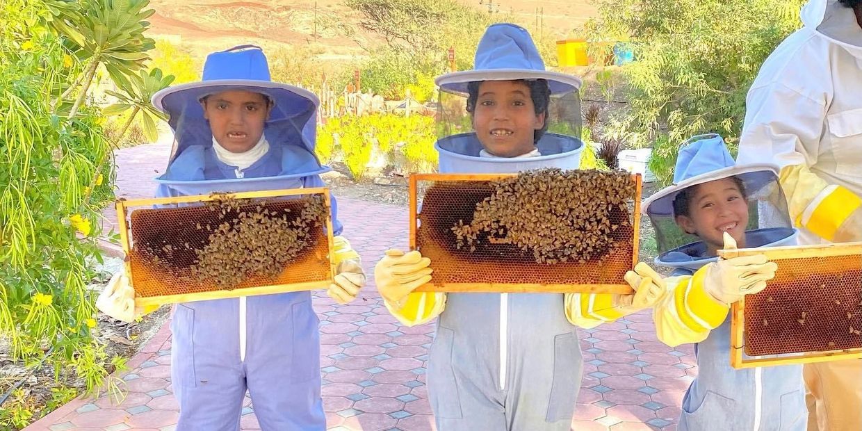 Ibrahim, Mohammed, and Mimi holding honeycombs extracted from a hive. Dressed in protective gear,
