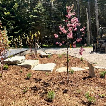 Freshly landscaped yard with new trees and stone walkway