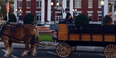 Horse pulling a wooden cart with a person driving.